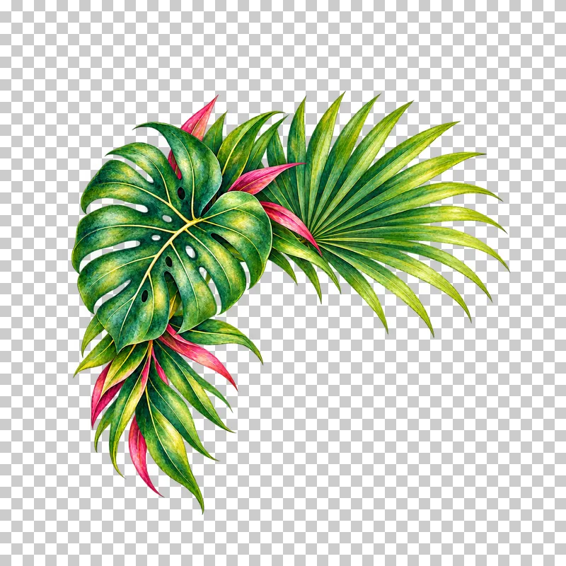 Upper-left corner of radial fan palm, perforated monstera and cordyline leaves in watercolor.