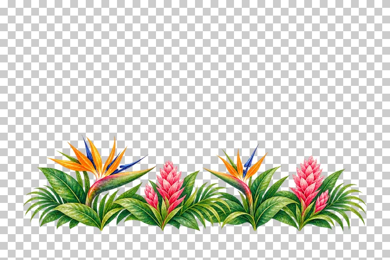 Low growing border of bird-of-paradise flowers, pink ginger and green foliage in watercolor.