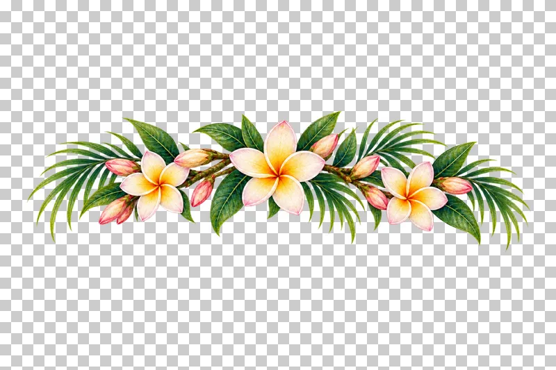 Shallow hanging header of ivory plumeria flowers and green areca fronds in watercolor.