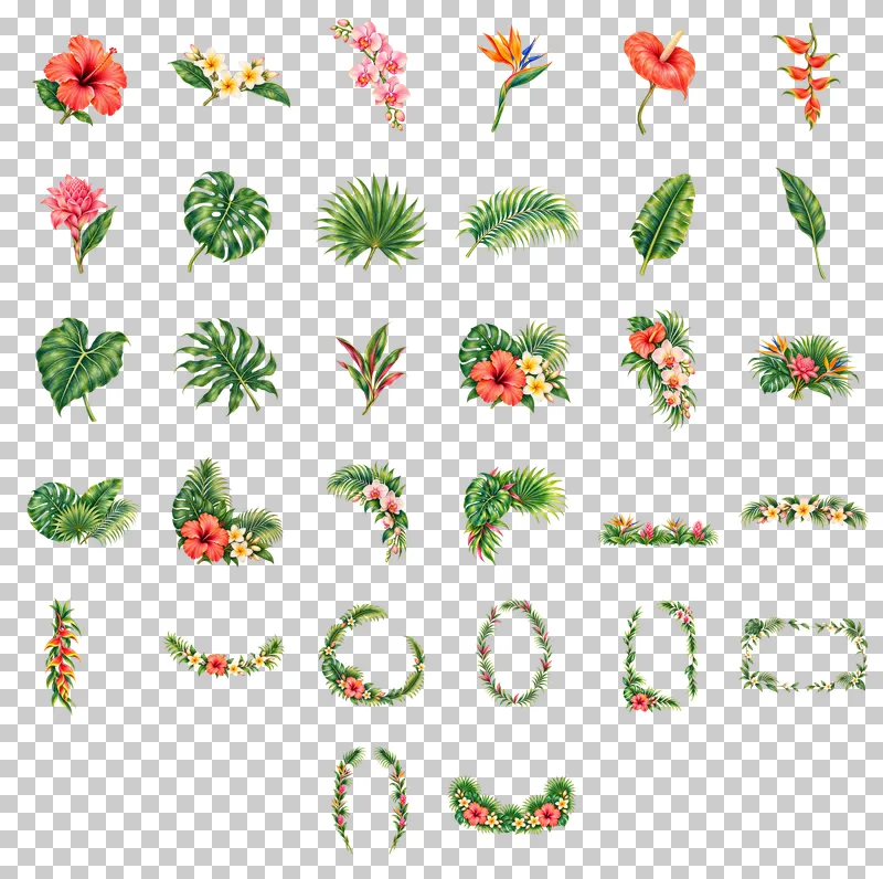 Tropical Flowers, Foliage and Frames Watercolor PNG Collection: all 32 elements in one grid