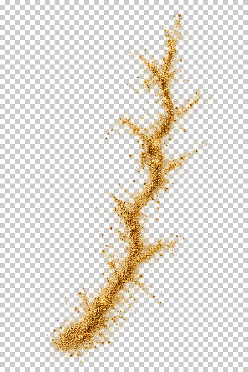 A branching fractured seam of gold grit and small angular fragments.