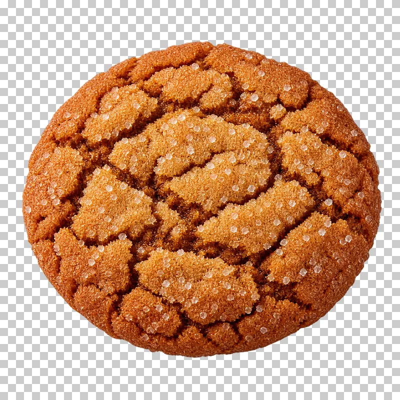 Amber ginger snap cookie with attached coarse sugar and surface cracks