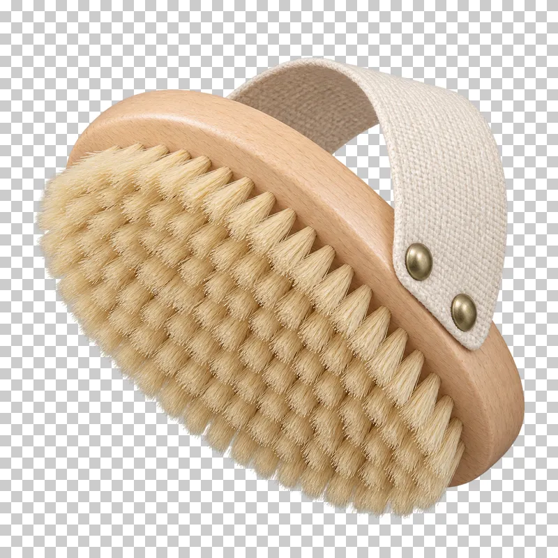An oval wood-backed dry body brush with natural bristles and a cotton hand strap.