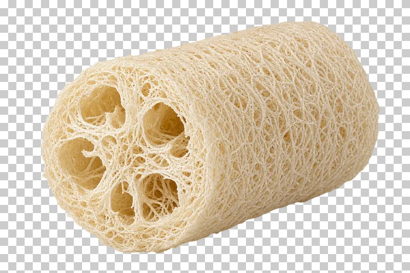 A natural loofah sponge segment with visible porous fibers and cut ends.