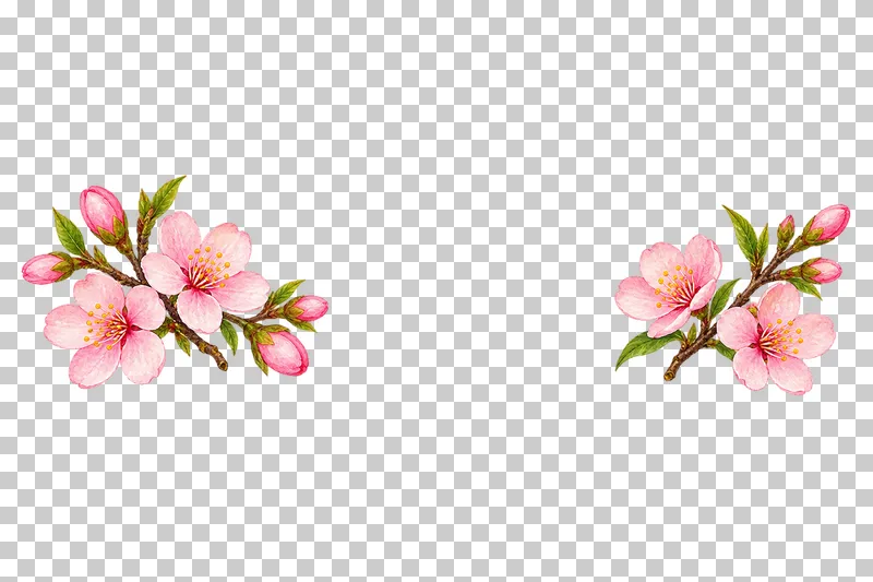 Two small unequal cherry-blossom sprays separated by a wide transparent center.