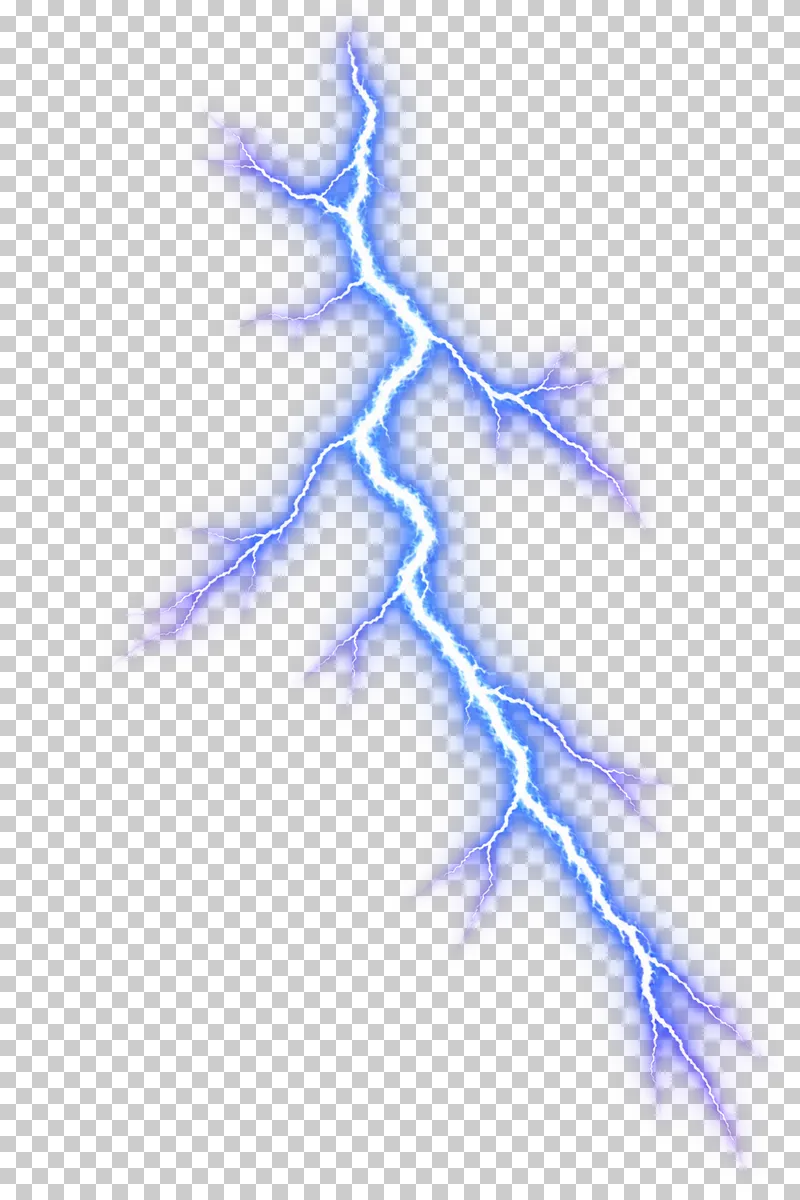 A crooked descending lightning channel with unequal tapering side branches.