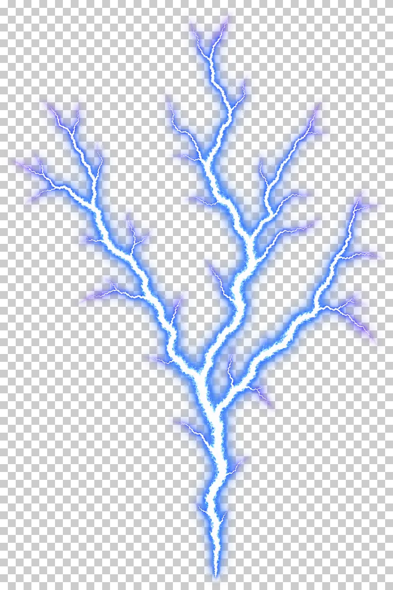 A lightning tree branching upward from one lower origin.