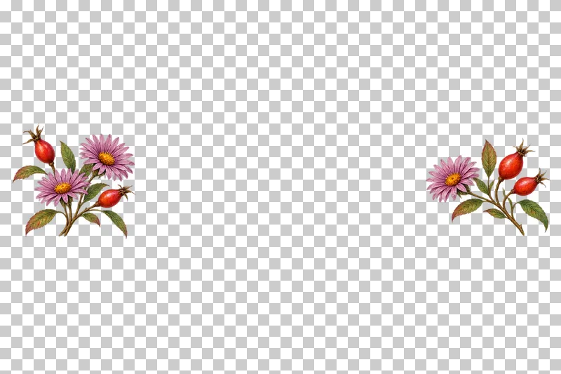 Two unequal watercolor-style rosehip and mauve aster sprigs separated by a wide transparent gap.